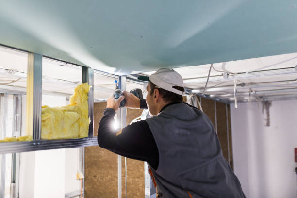 Best Types of Insulation in Aspen, CO