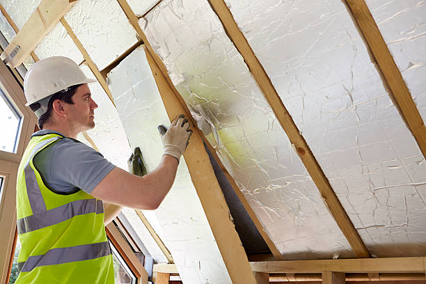 Best Energy Efficiency Solutions in Aspen, CO